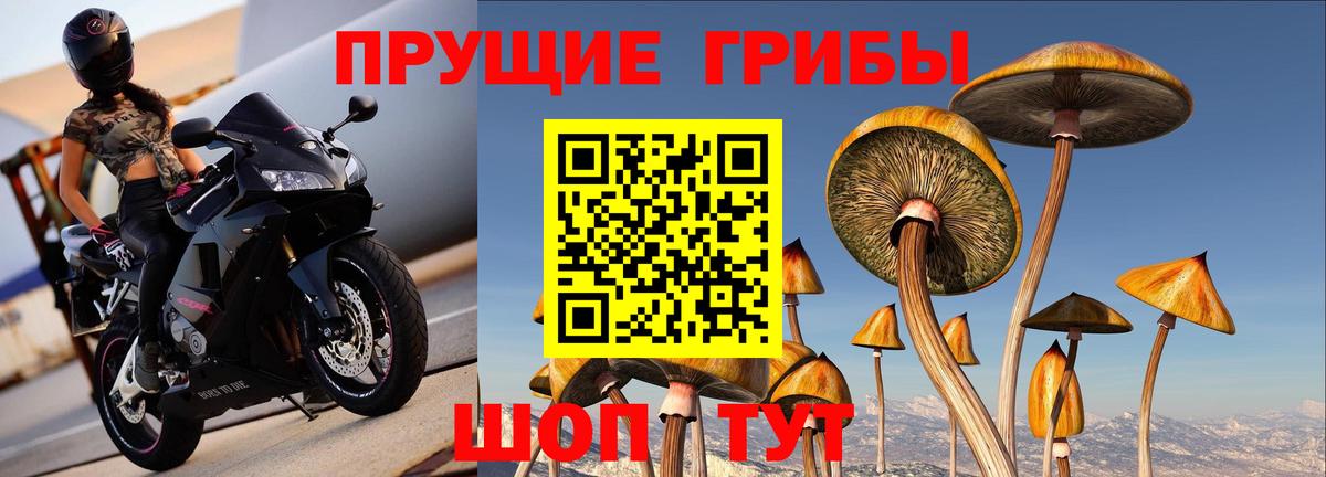 Псилоцибиновые грибы Psilocybe  Псилоцибиновые грибы мухоморы  Вход с VPN  Махачкала 